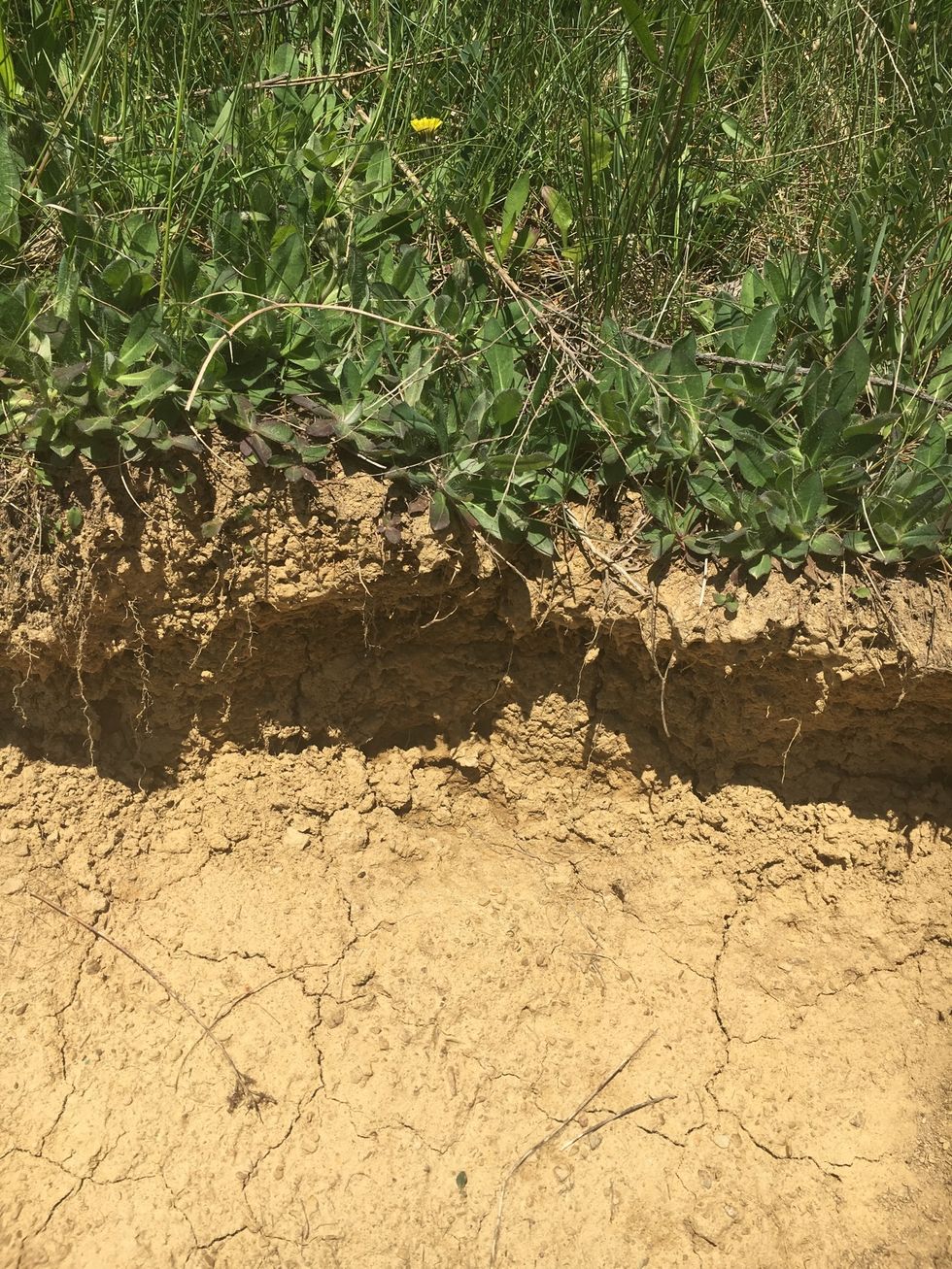 This is a closer picture of the previous step.