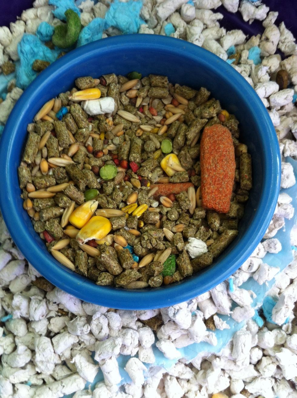 This is a no! Do you see all those seeds and nuts! No no no!