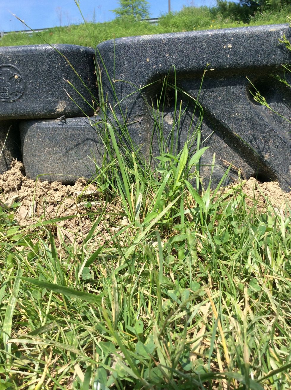 This is a picture of a black barrier. We found it outside at school. This can help stop both erosion and weathering. -------->