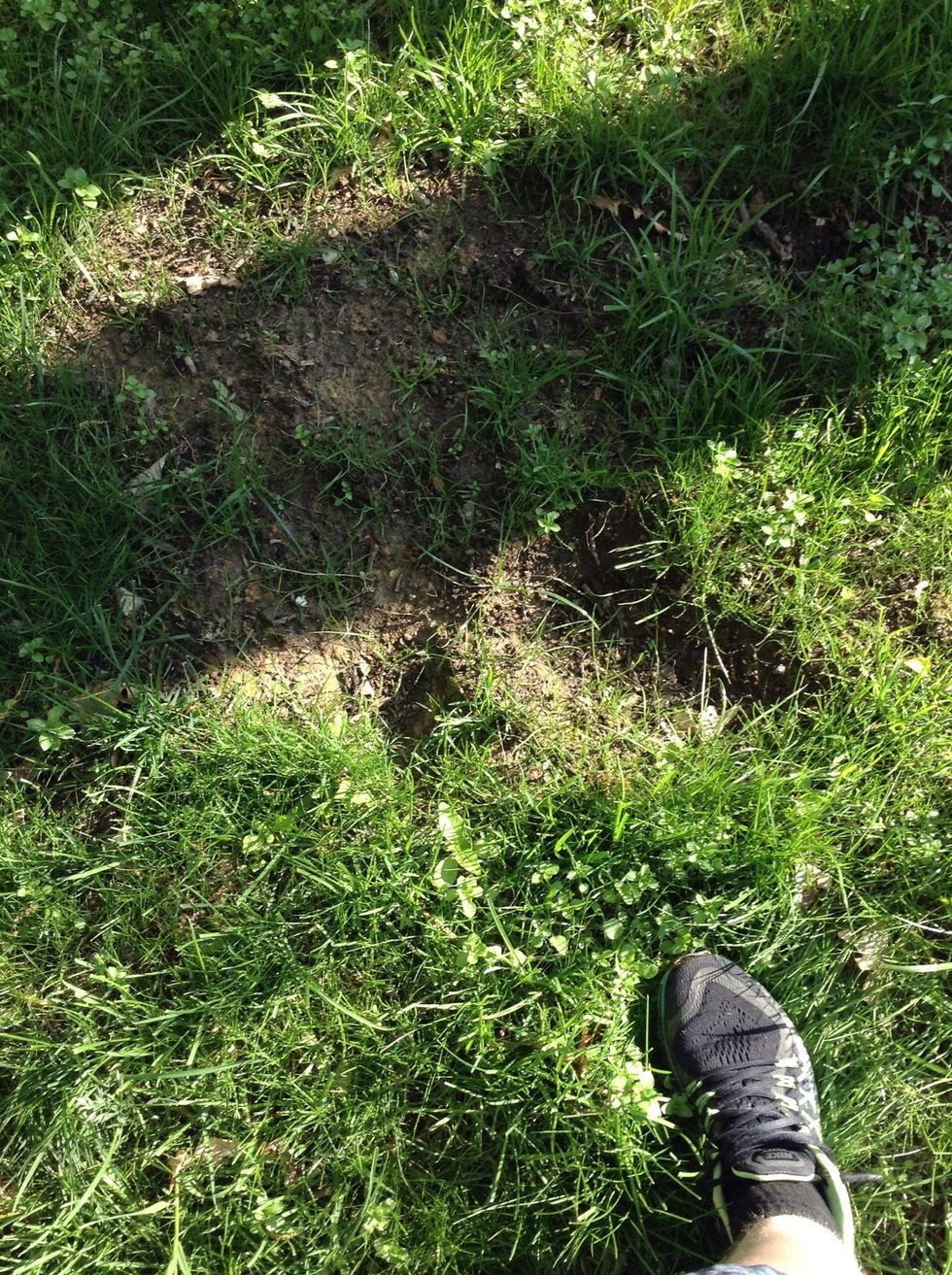 This is a pot hole we found in my backyard. The dirt was moved to a different place by deposition