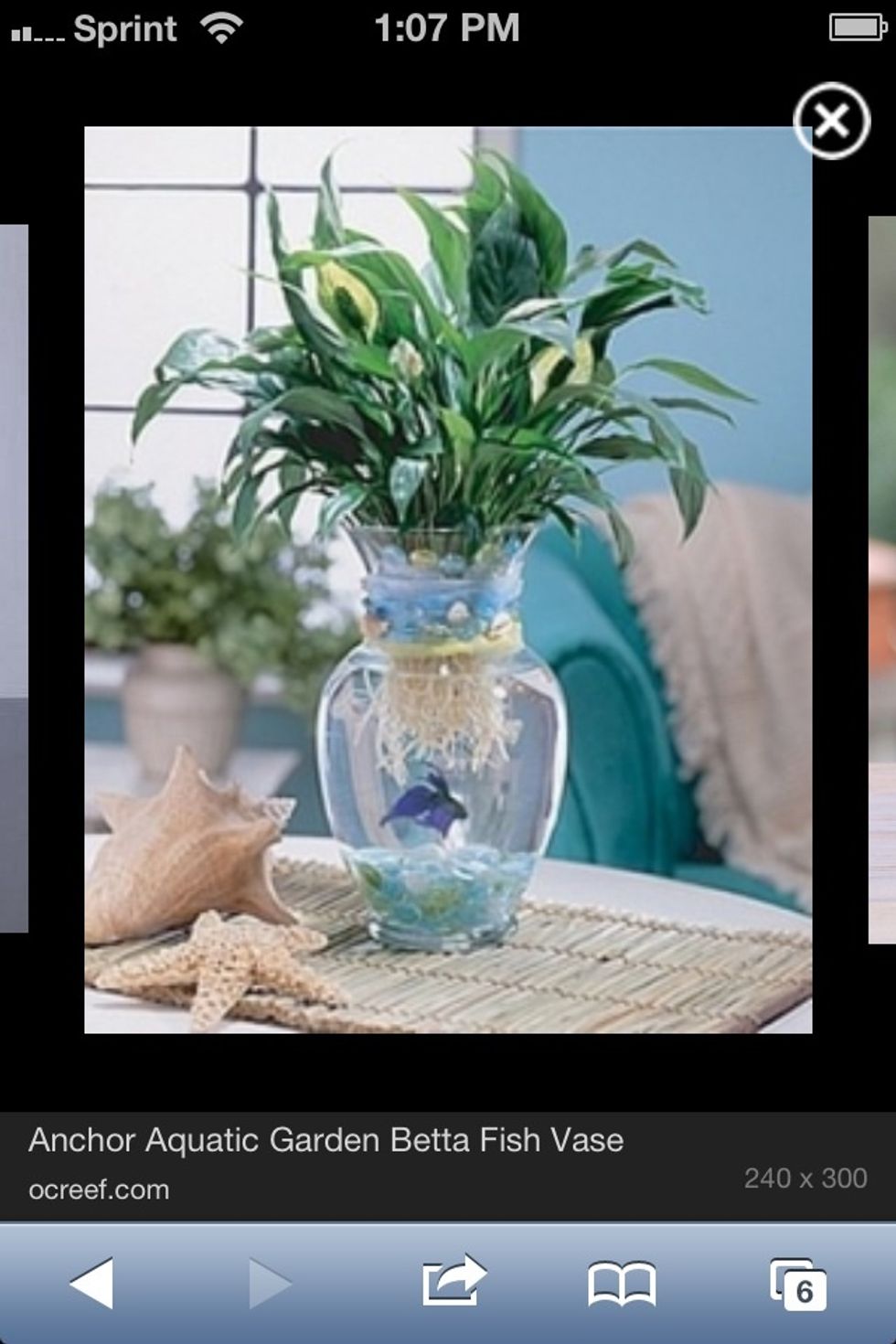 This is a really cool vase fish tank and it has a real plant in it! The best fish to put in something like this would be a siamese fighting fish. Ask a employee at a pet store about plants to put in.