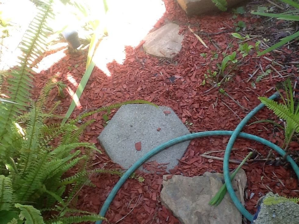 This is a red bark, the color will tone down with exposure.  Mulch is pretty inexpensive and needs to be replaced every year or so depending on your climate.  I till old mulch in as we have clay soil.