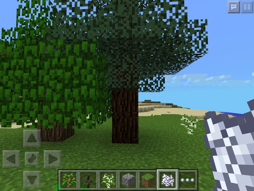 This is a Spruce tree. A much darker wood, as you can see! These trees are usually the tallest and found in the snowy biomes.