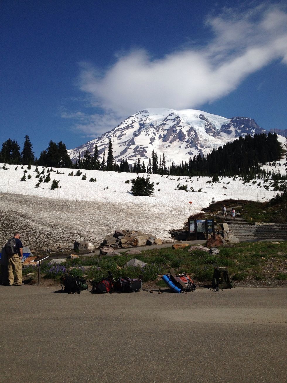 This is a view of Mt. Rainier. If you are adventurous, more so than my family, there are many hiking trips that go up and down the mountain. There are also many smaller hikes in the area.