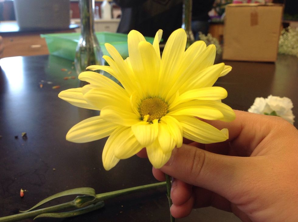 This is a yellow mum before it was added to the bud vase. I used for of these in my bud vase.