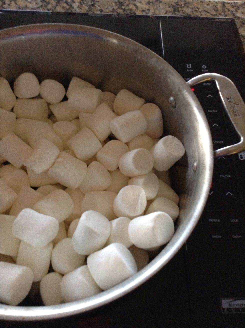 This is about 3, 10 ounce bags of large marshmallows. Over very low heat, start to melt down the marshmallows