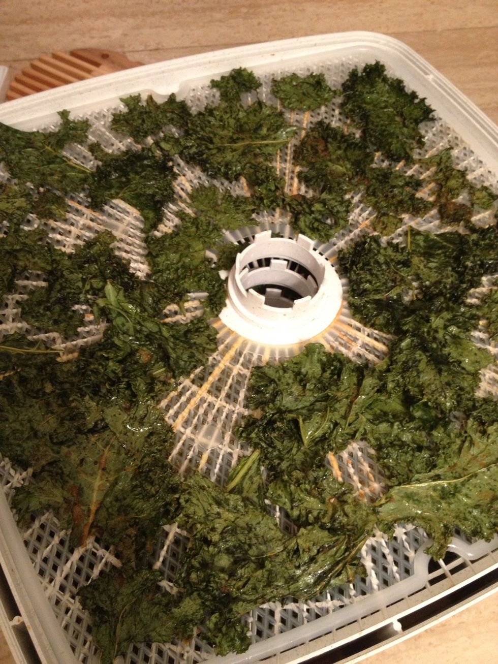 This is after 4 hours...I actually ended up doing another hour and a half and they were perfect! If you leave drying for too long they will be too dry and actually crumble at the touch.