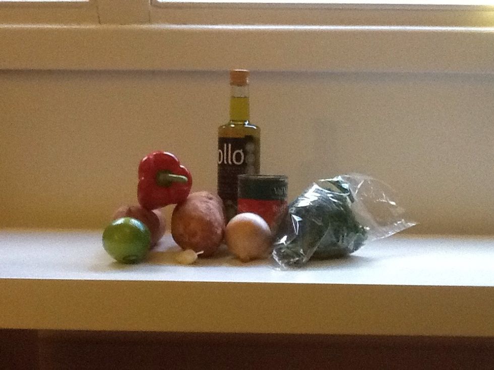 This is all the ingredients. If you missed them check them out in the previous steps