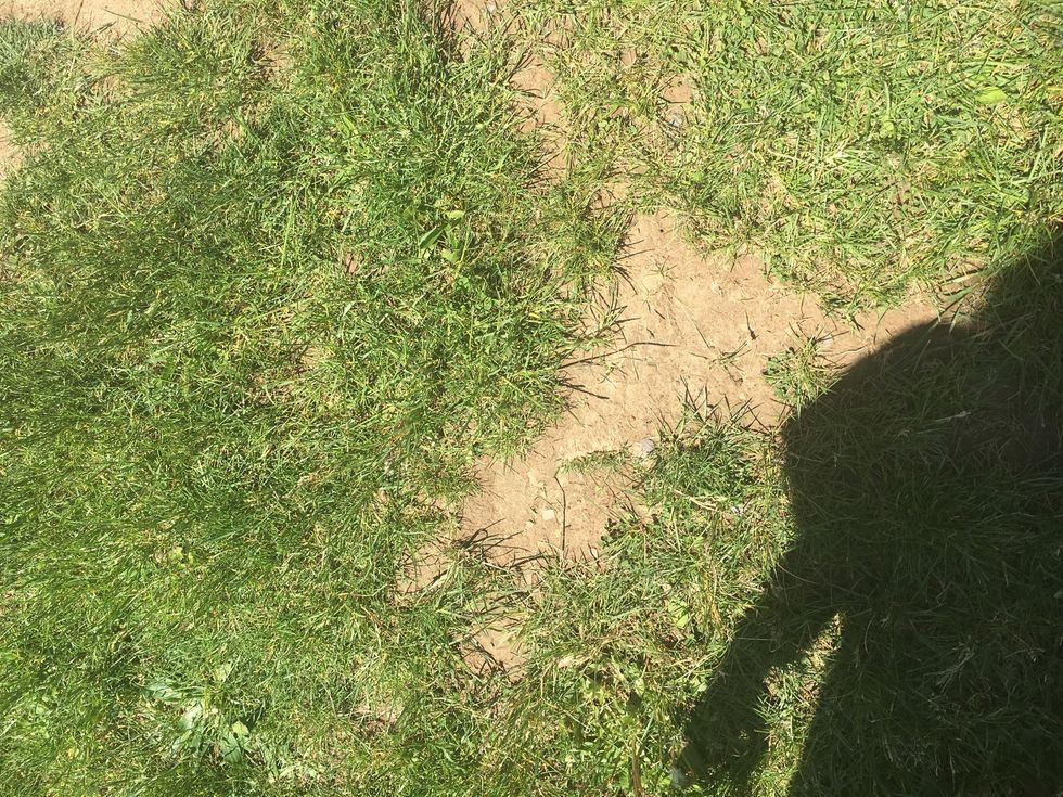 This is also an example of splash erosion.