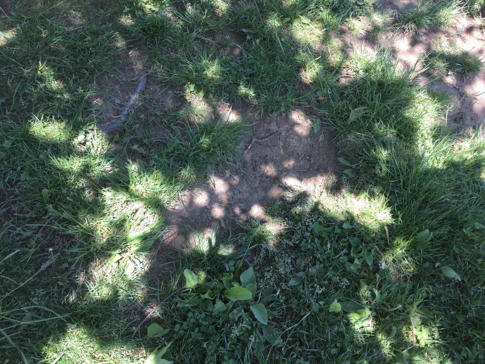 This is also an example of weathering. We found this outside, on a hill. We think this was caused by , water and humans. First, the rain turns the dirt into water and creates a mud stream. --------->