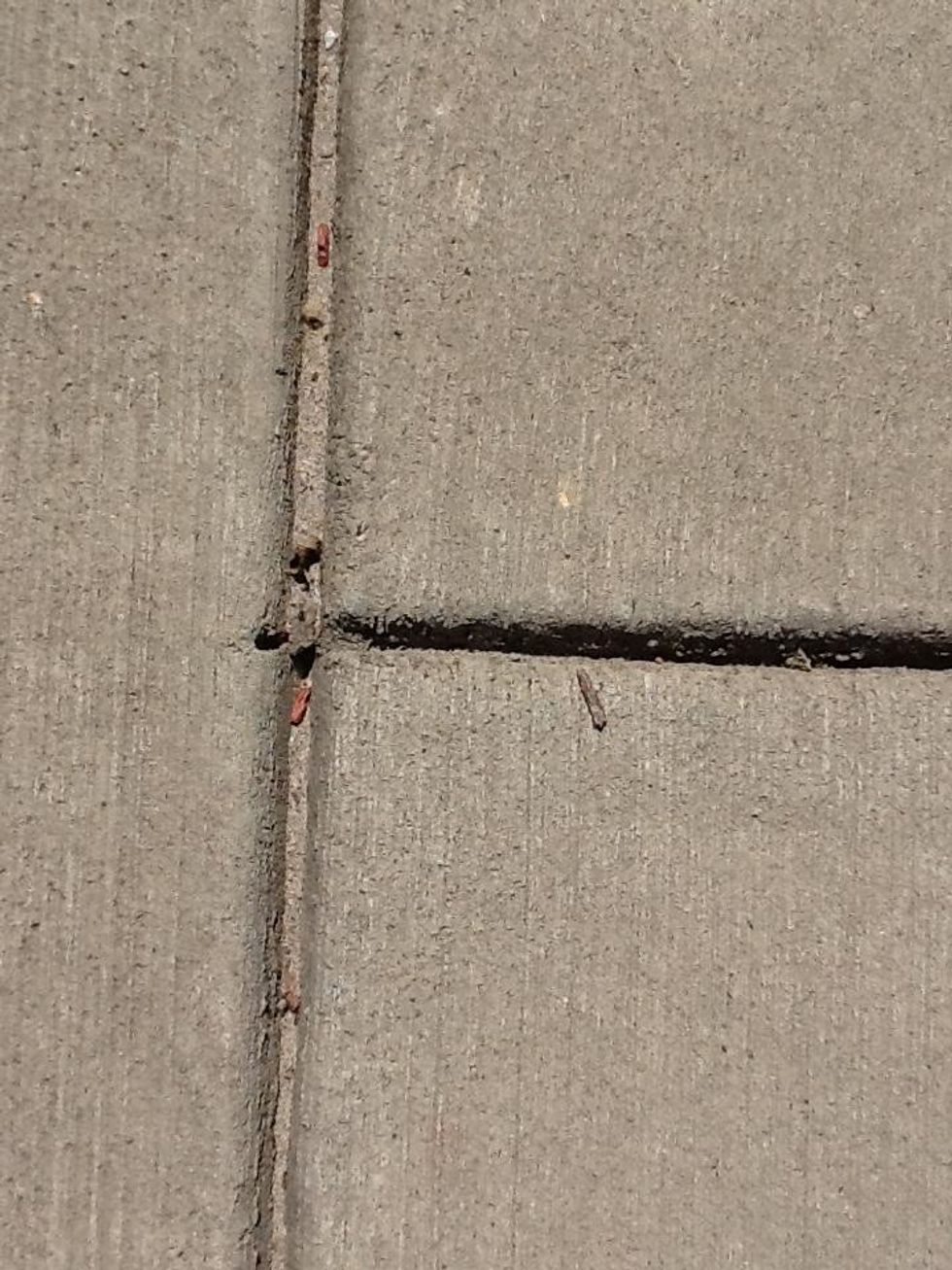 This is an example of a right angle because it has a 90 degree angle. This is lines in the cement.