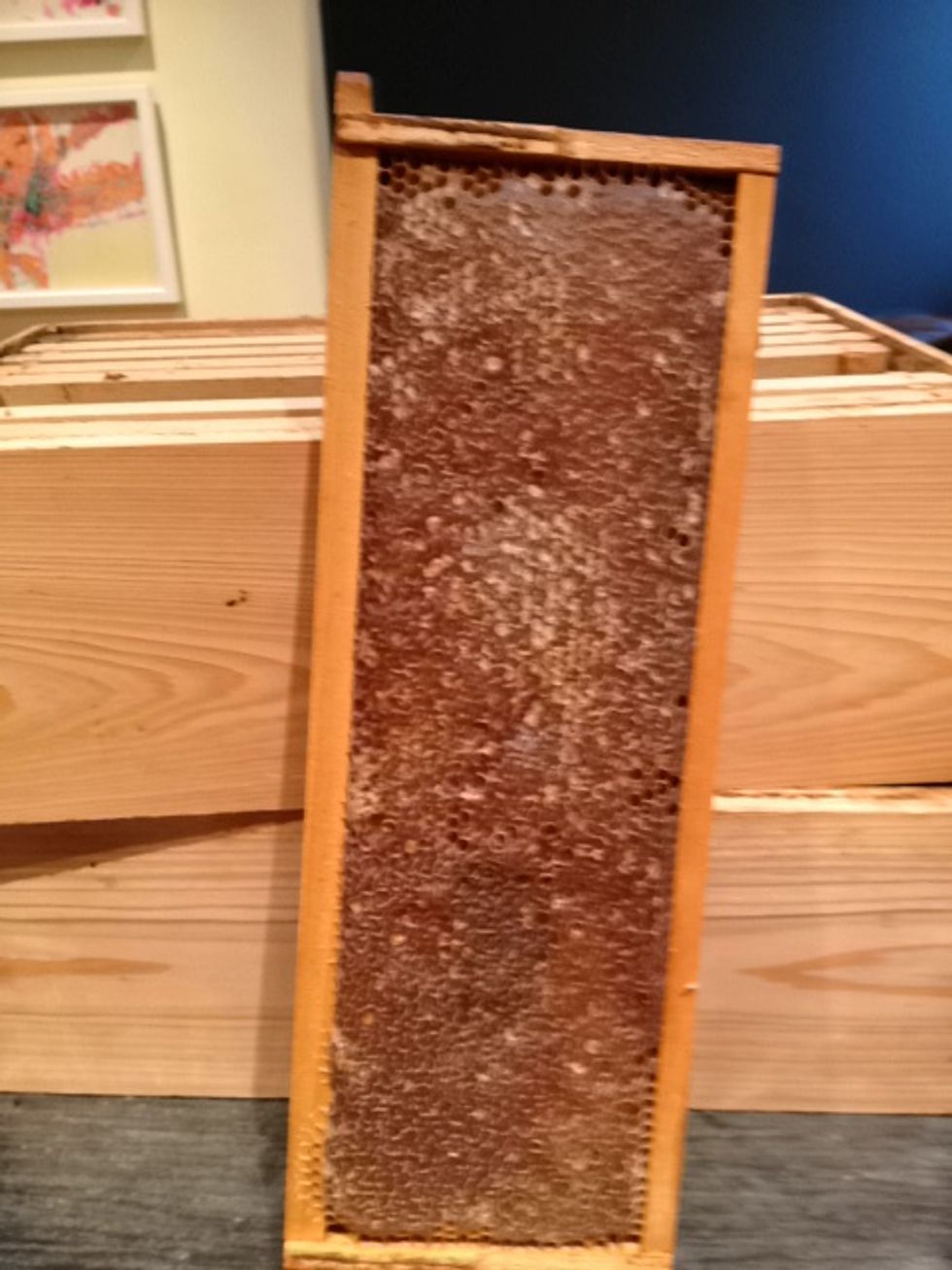 This is an example of a sufficiently capped frame. A frame should have at least 80% capped honey. Uncapped honey has high moisture content. If the yield is too moist, it could ferment.