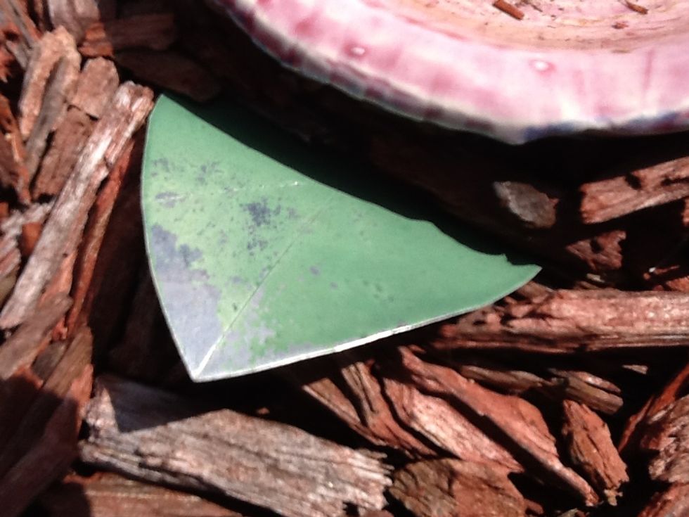 This is an example of a Triangle because it has 3 sides. This is a flower leaf.