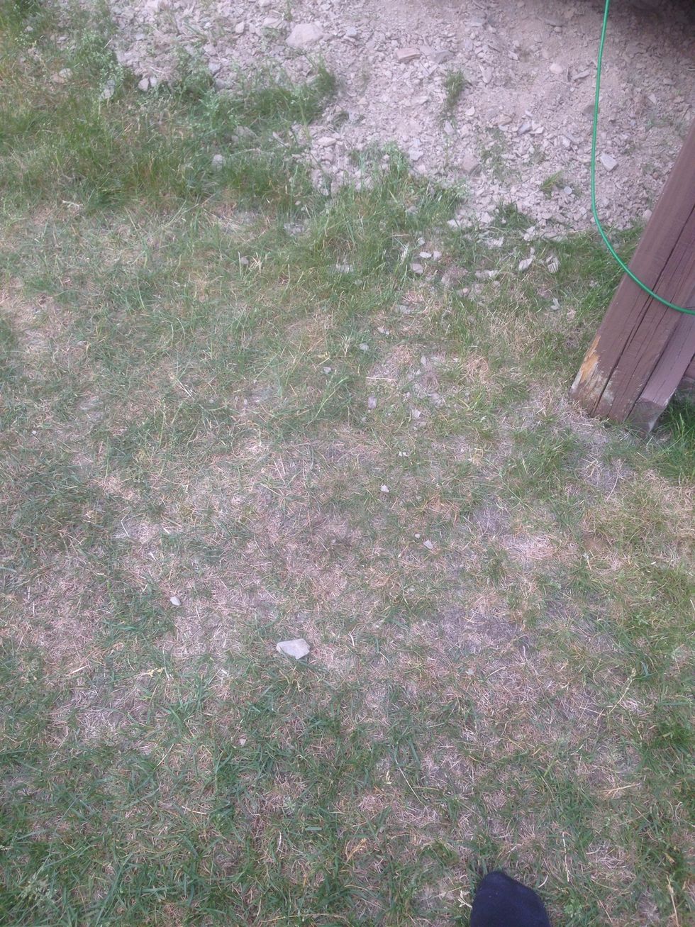 This is an example of deposition because it shows that wind blew and picked up and moved the sediment to a new place slightly away from where it started.