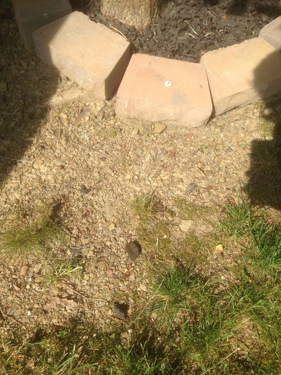 This is an example of deposition because some patches of mulch were picked up by wind and dropped off nearby.
