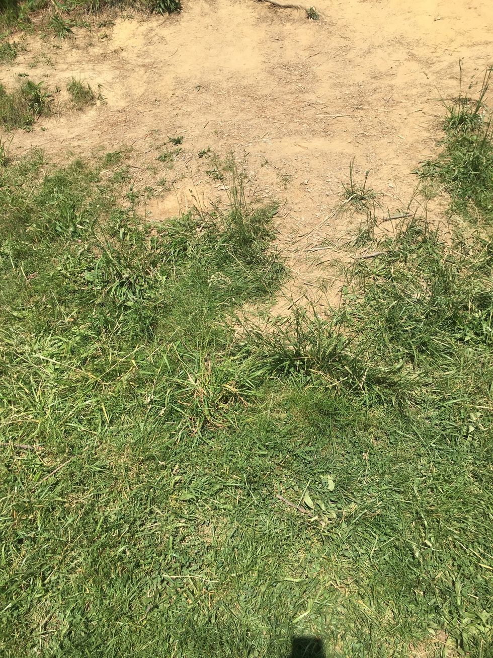 This is an example of deposition because the soil has been deposited at the end of this slope.