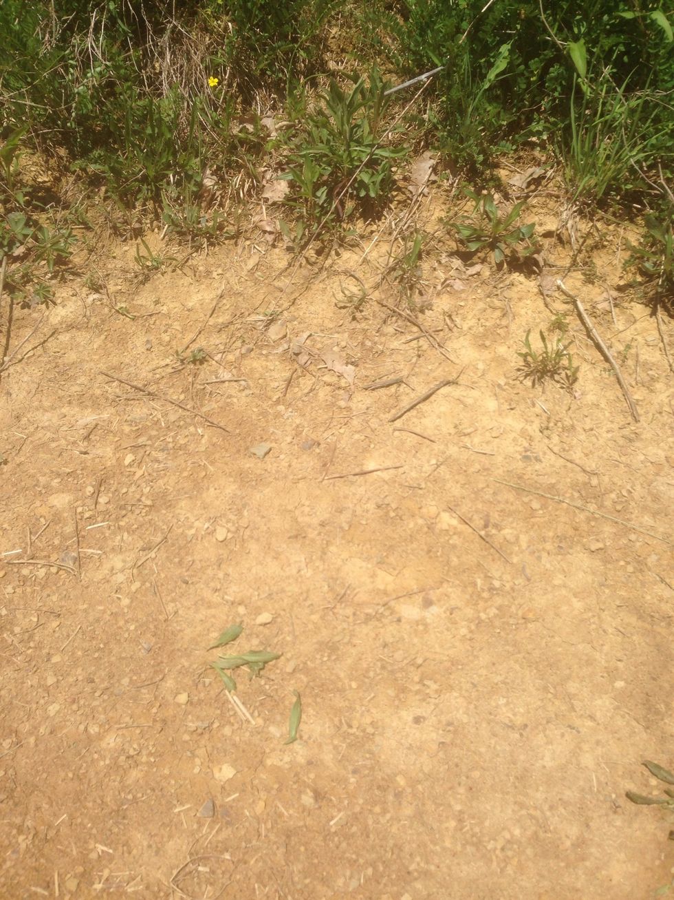 This is an example of deposition because the wind picked up and moved the grass cuts into the dirt