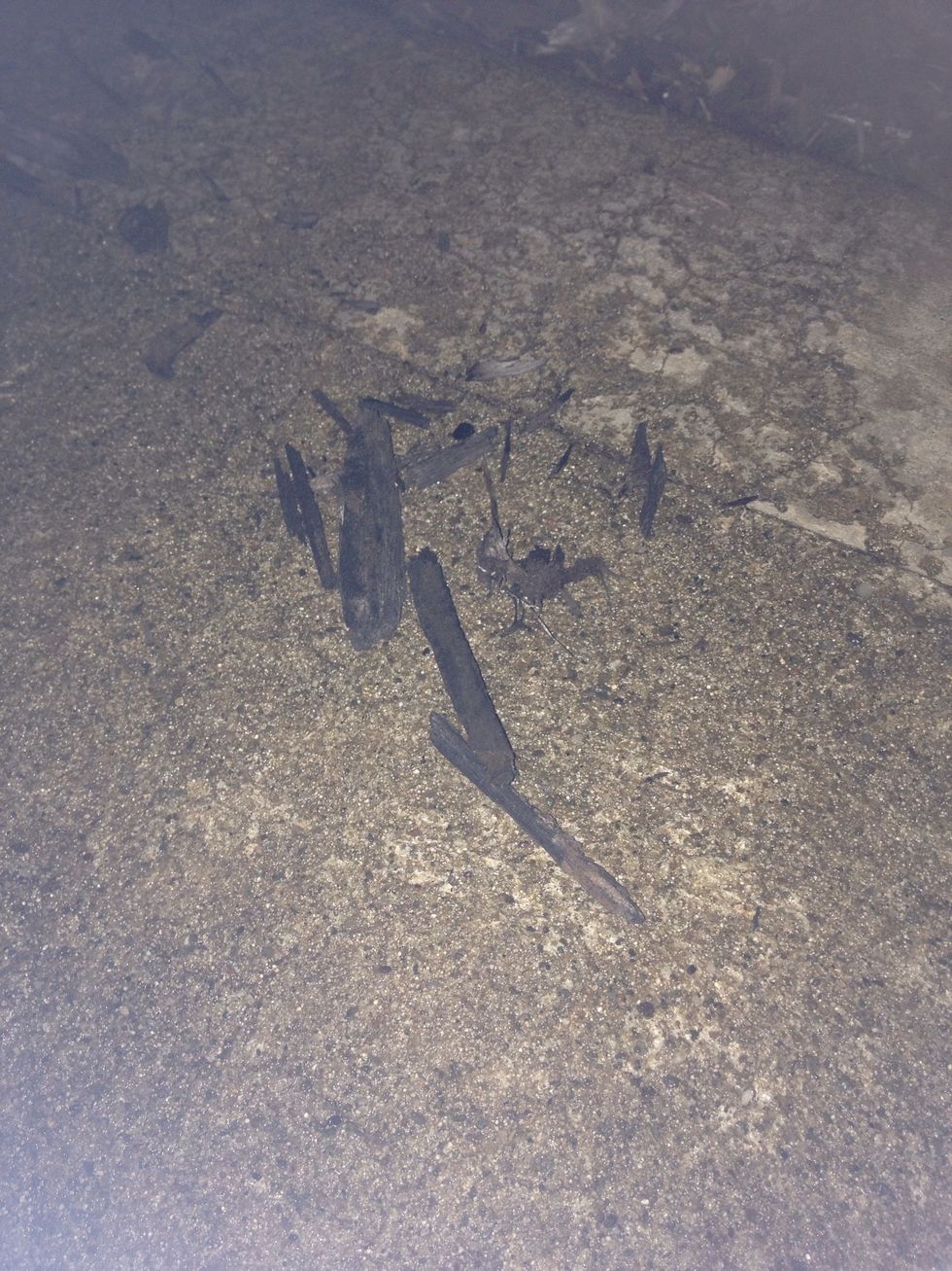 This is an example of deposition. Due to water and possibly wind, pieces of dirt have transported onto the sidewalk.