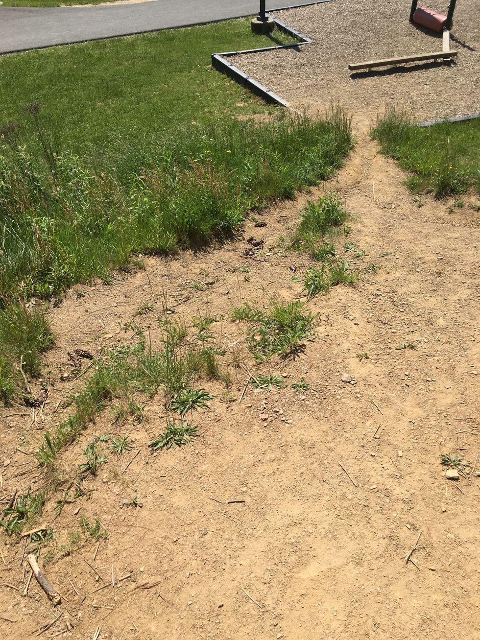 This is an example of erosion because if you look closely at the photo you can tell there has been streams of water eroding the area.
