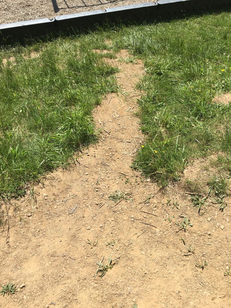 This is an example of erosion because the soil and other materials were broken up into pieces and carried down to the ending point.