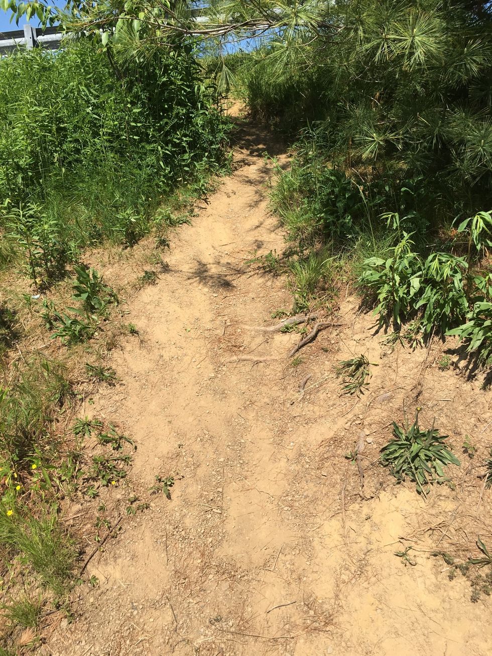 This is an example of erosion because the soil looks like it was being pushed down the slope by wind or water.