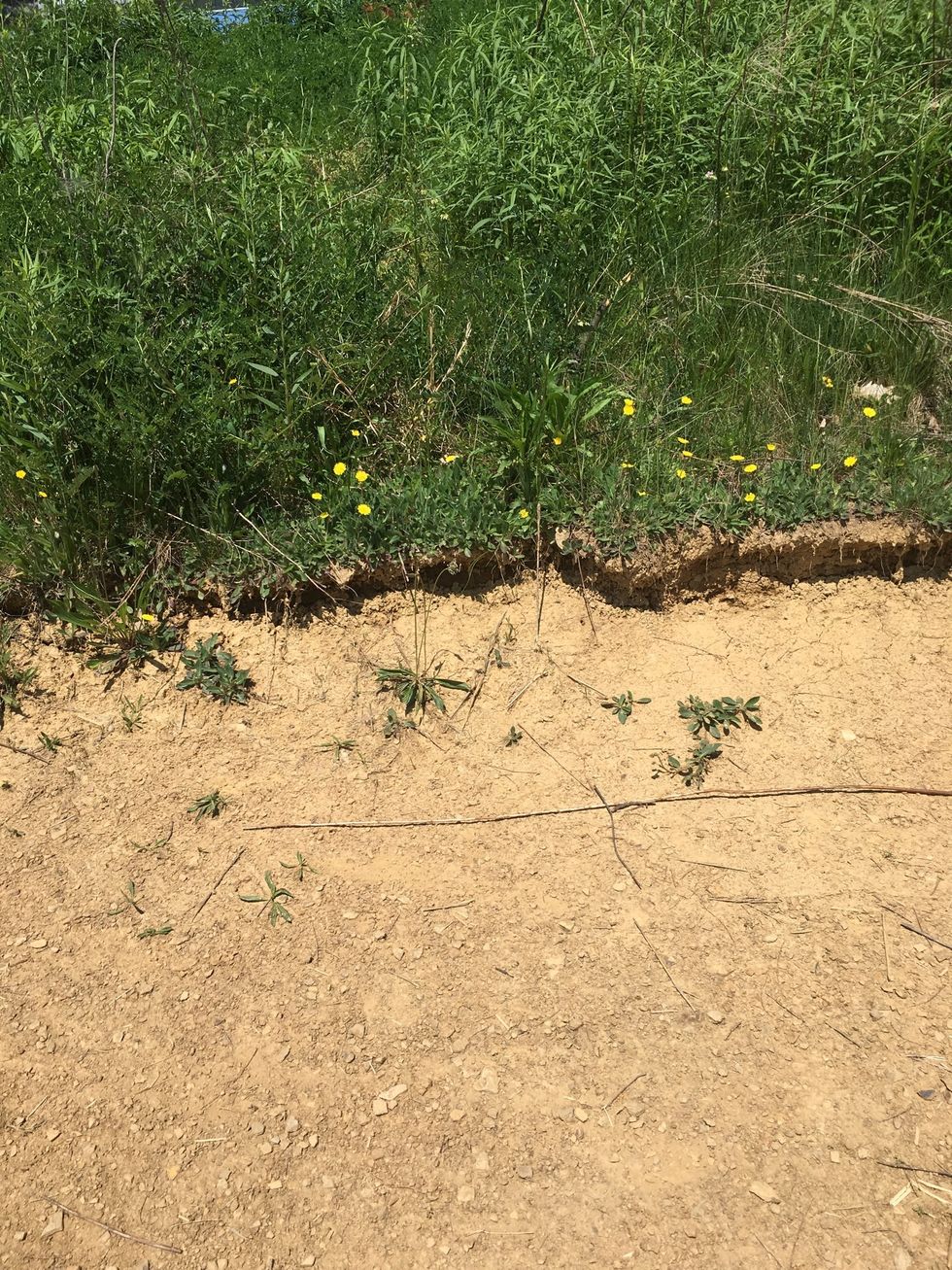 This is an example of weathering because the ground was dug out by either water or wind.