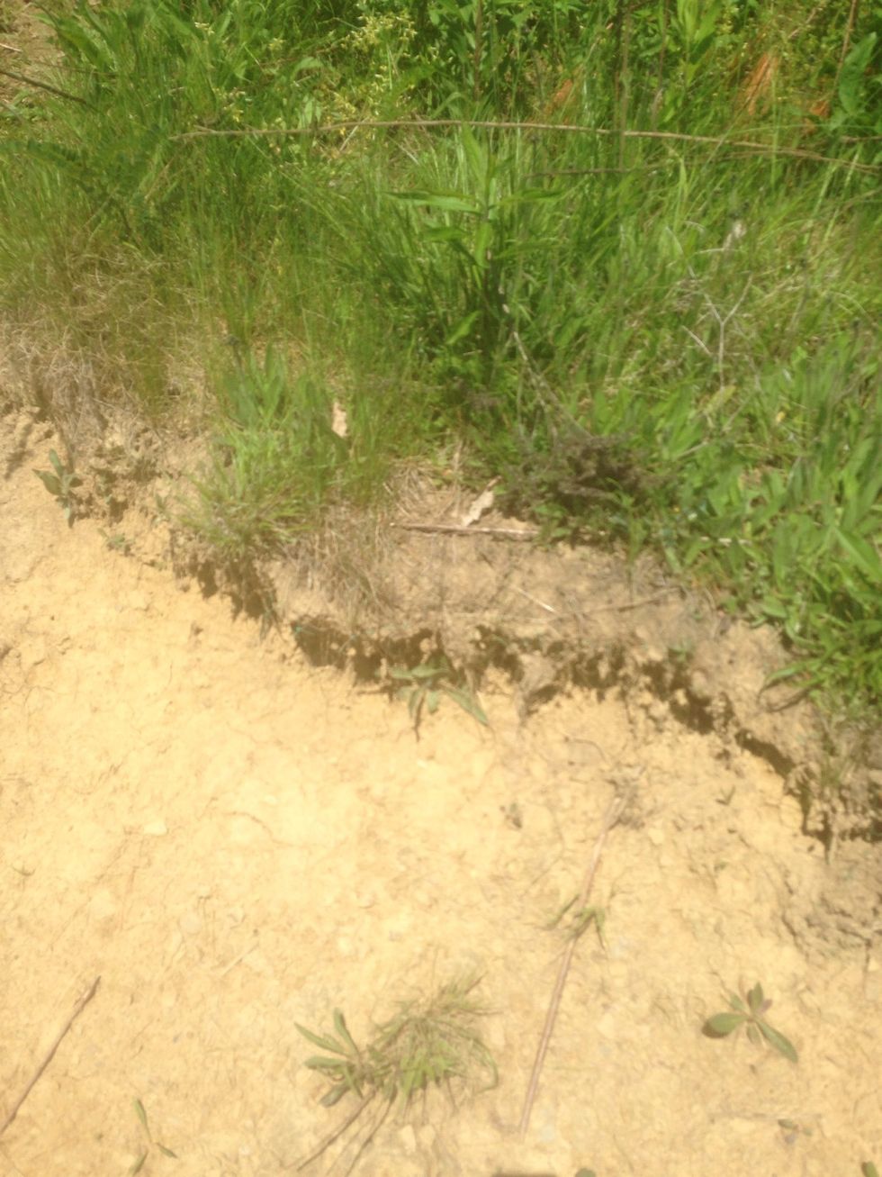 This is an example of weathering because the wind wore away at the hillside and made it crumble down.