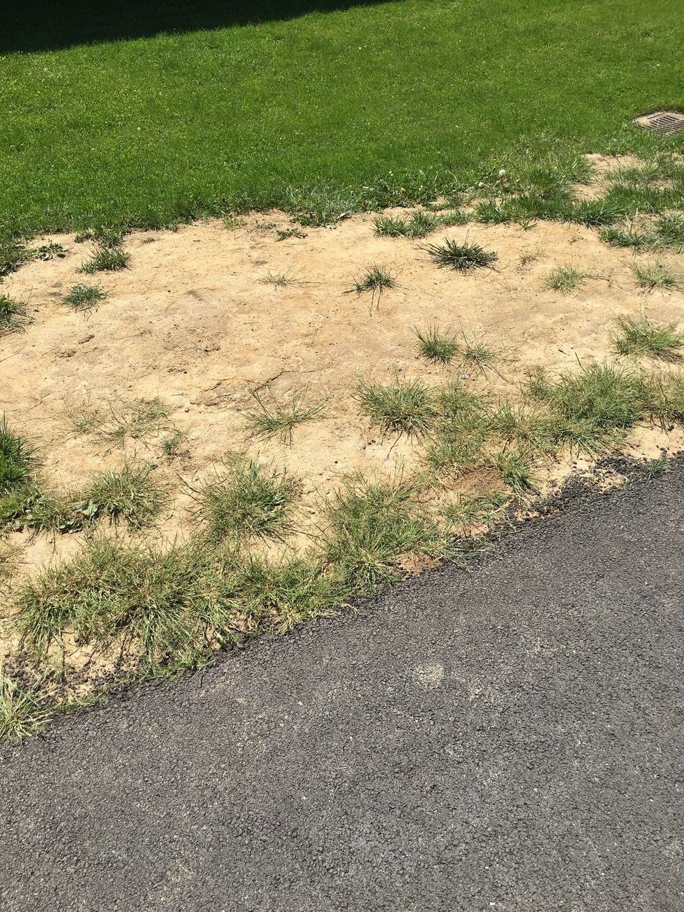 This is called deposition because the soil is piled up because of erosion and weathering, this is called deposition.