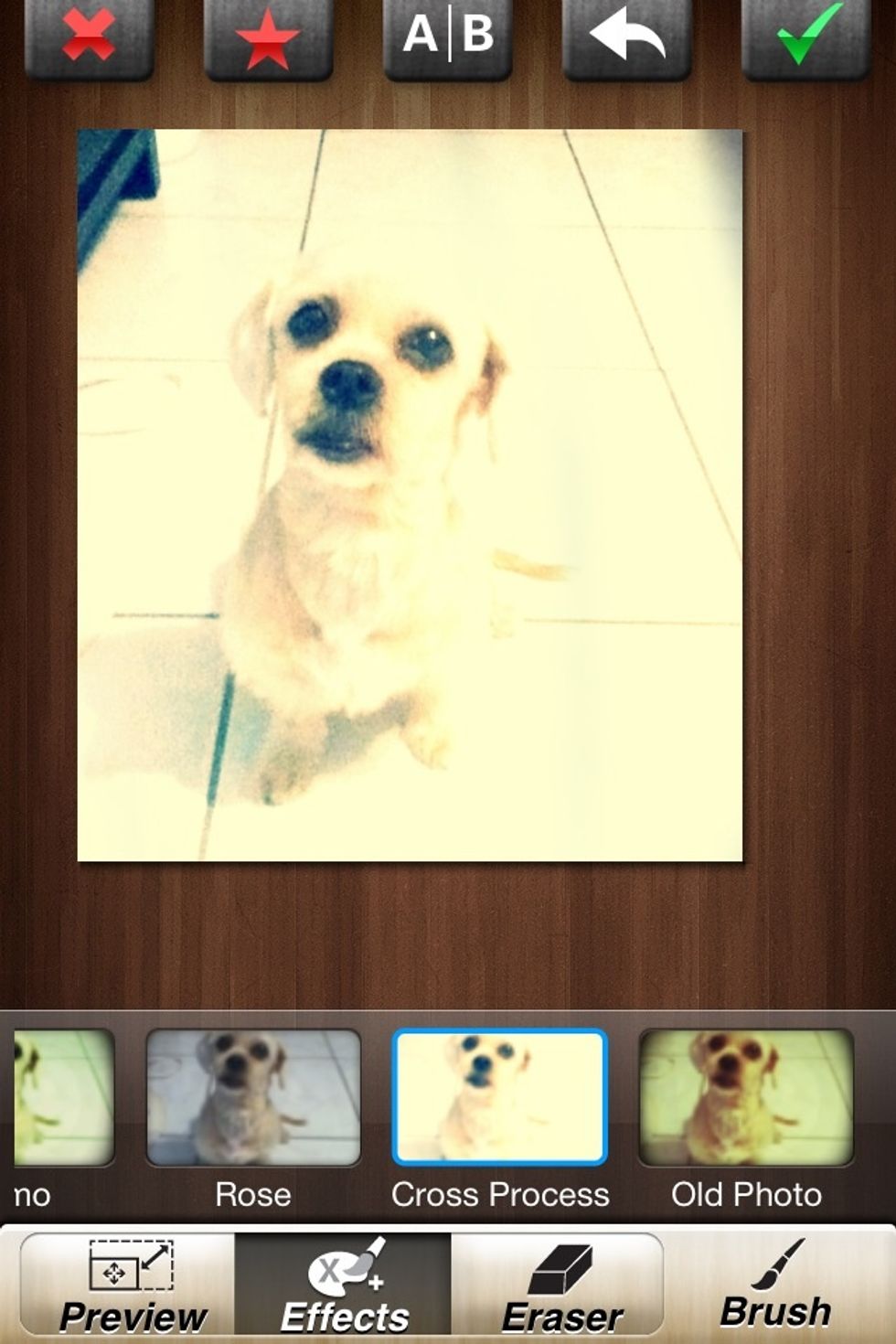 This Is CROSS PROCESS. I Love This Effect. It Makes The Photo AMAZINGLY Clear.