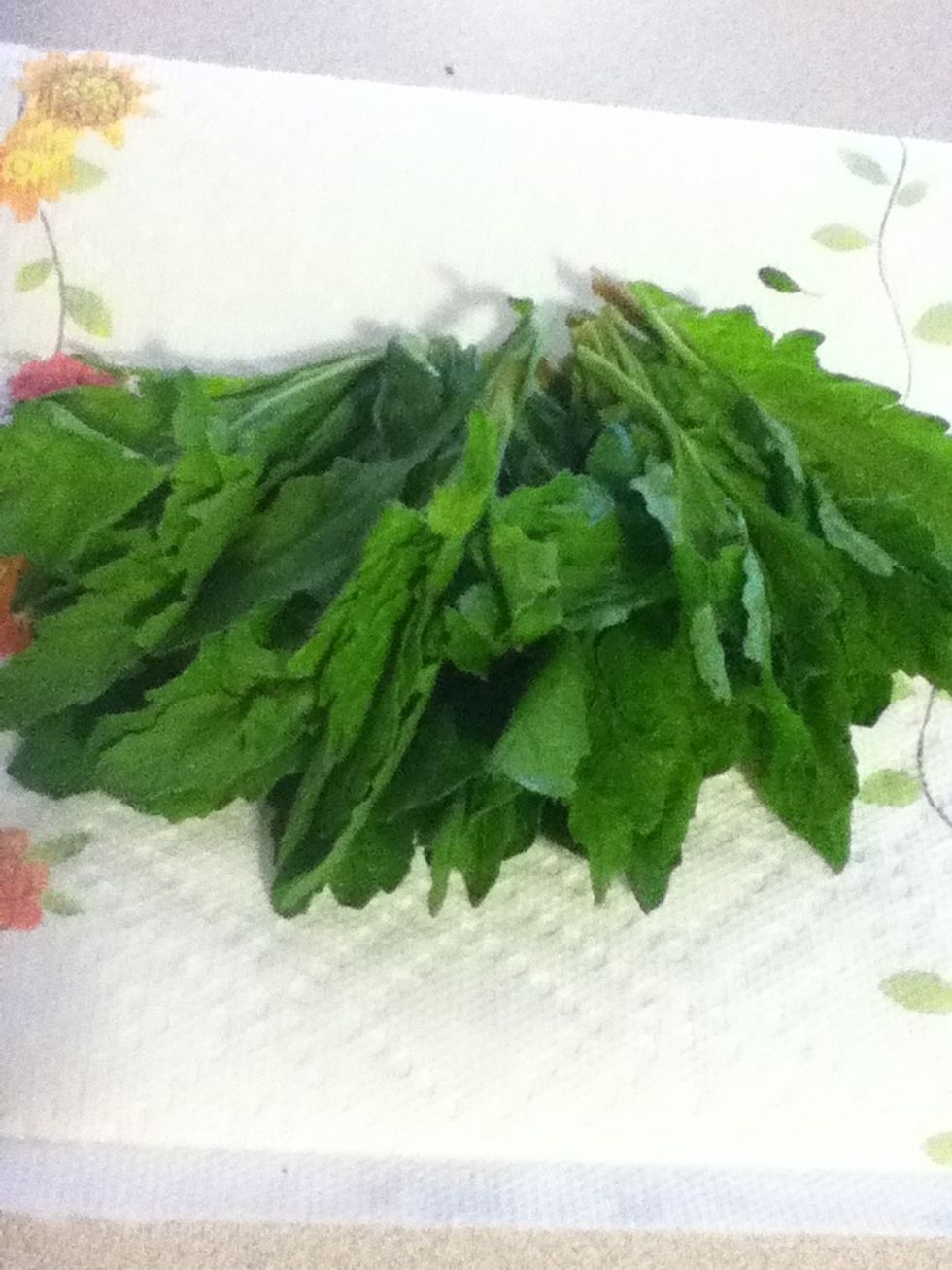 This is epazote. It's a traditional Mexican herb that adds a totally distinctive flavor to beans. Use a nice big handful.