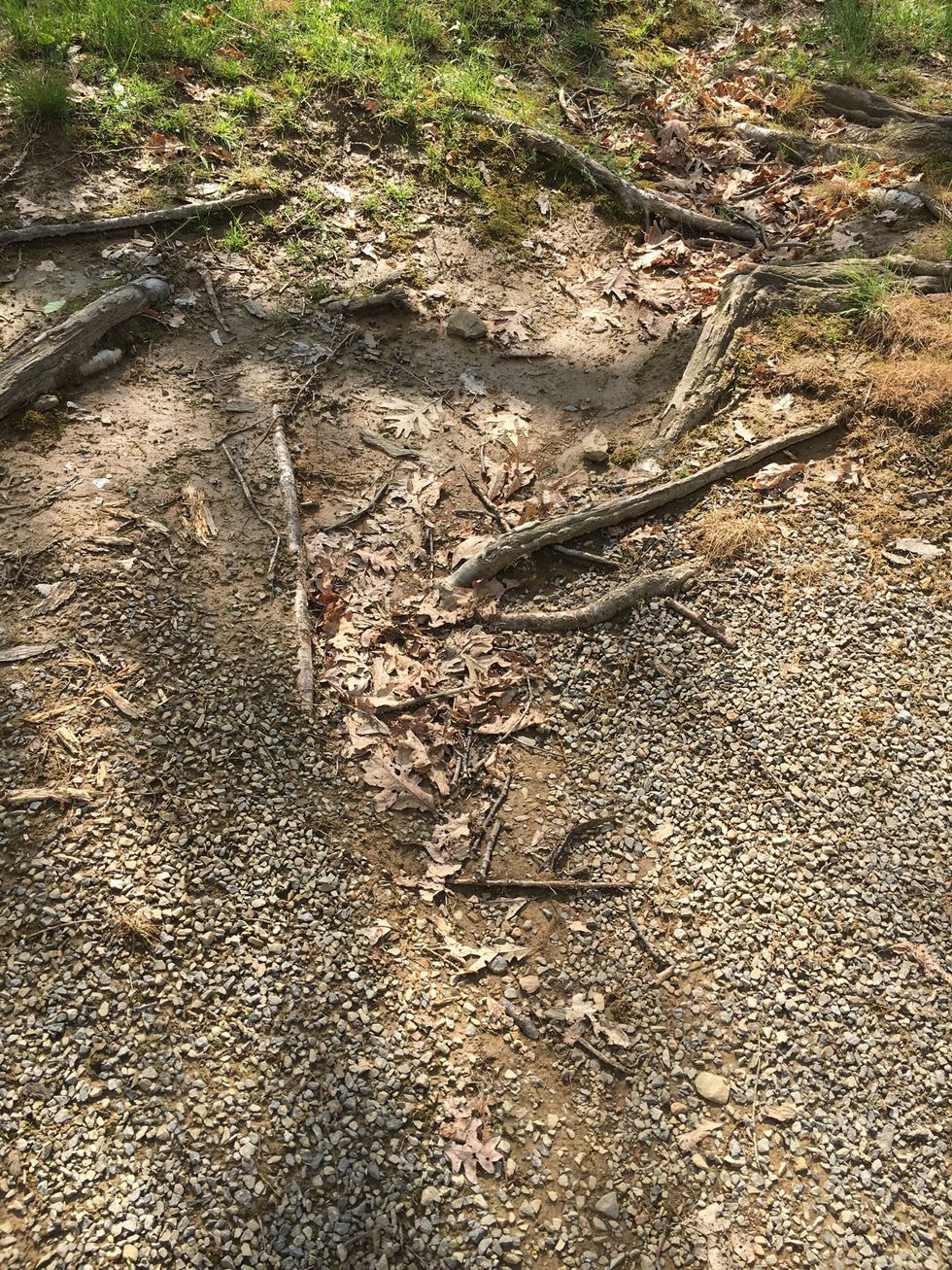This is erosion because their used to be a small stream here and it carried rocks and materials in it and it carried those somewhere else.