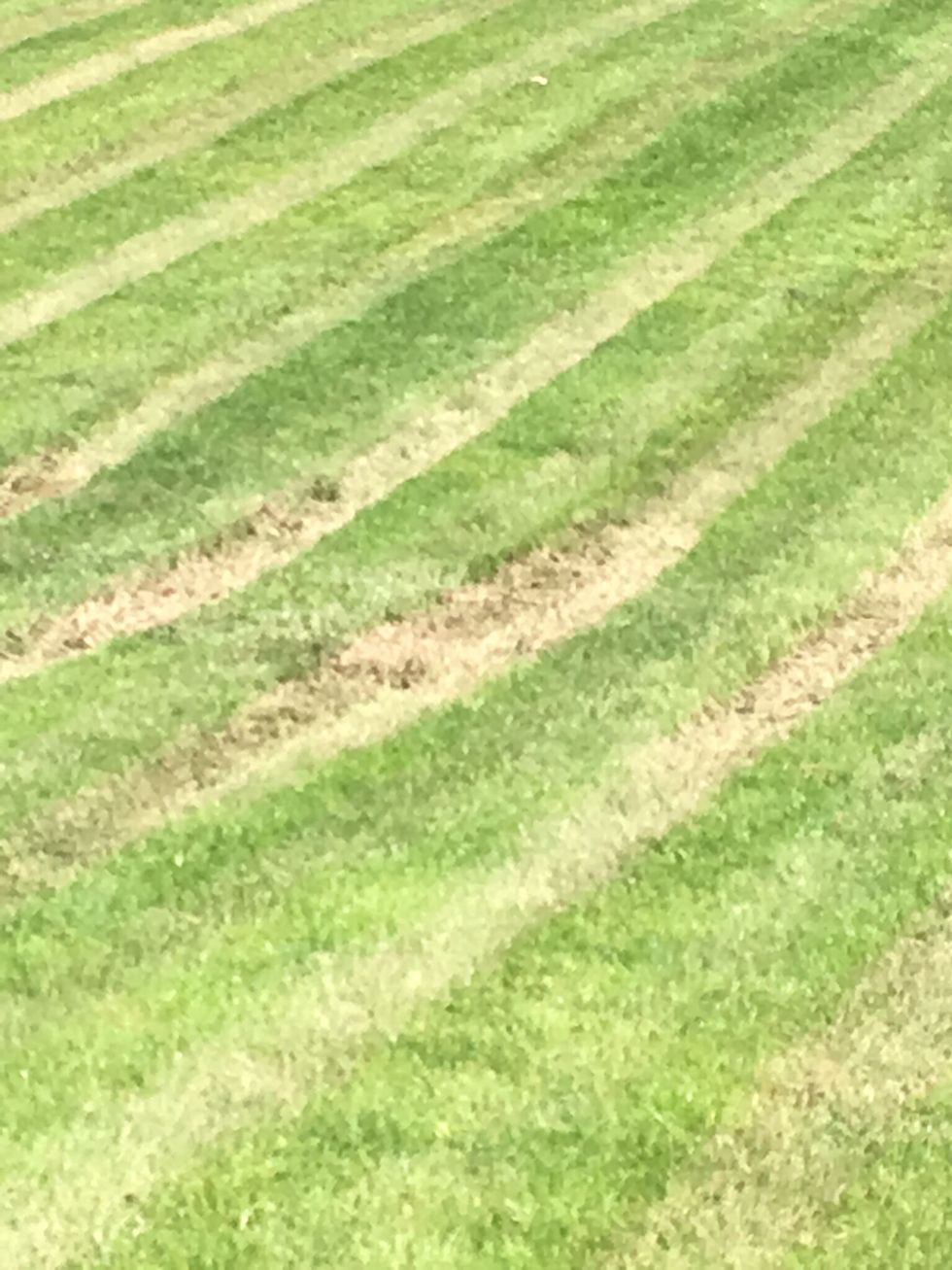 This is erosion because when my dad mowed the lawn, the lawn mower picked up the soul and it was carried off with the wind.