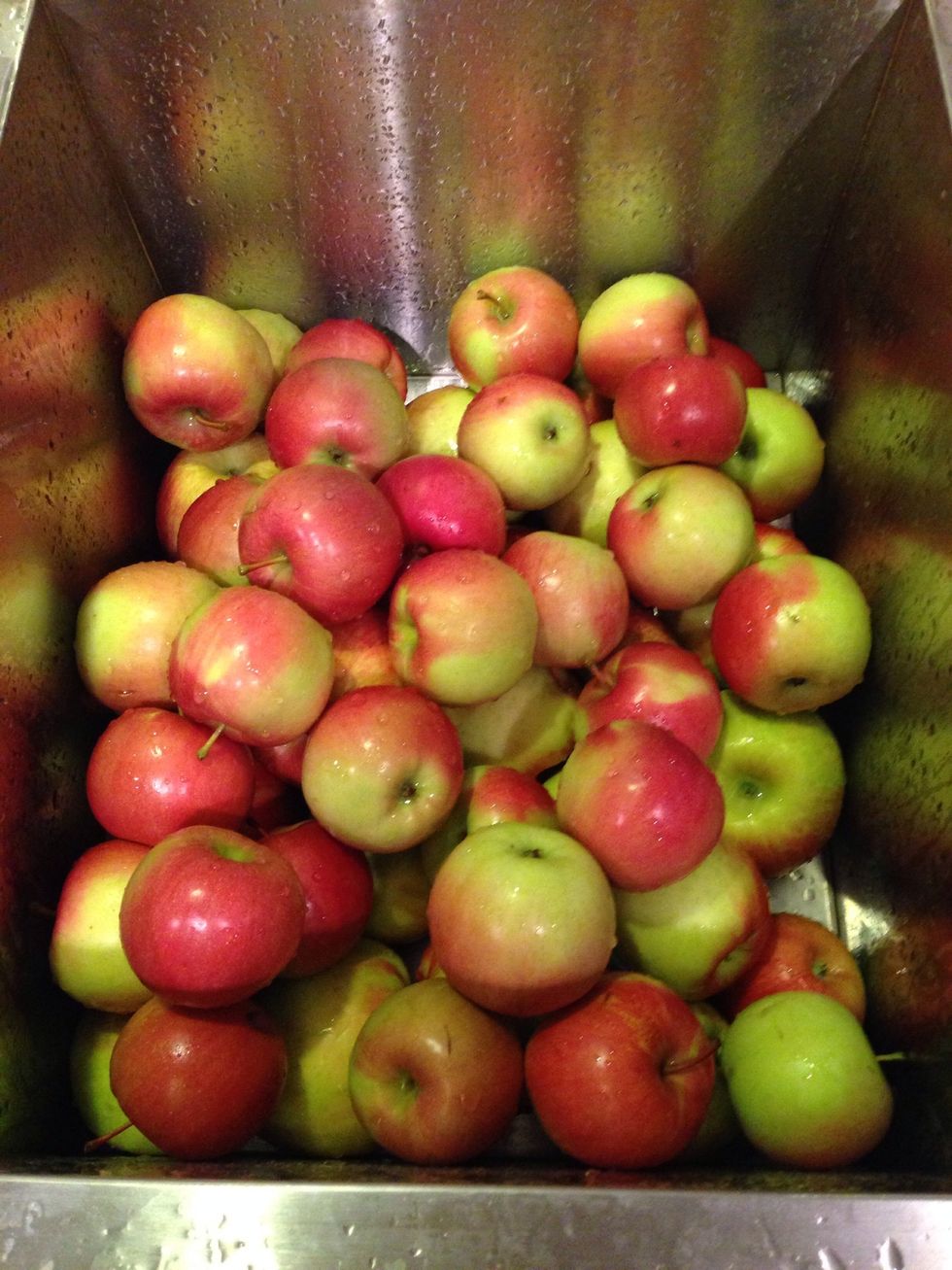 This is Fuji and honey crisp apples. Wash them up and remove any bad spots. I buy seconds and the local orchard for cheap and they're always beautiful!