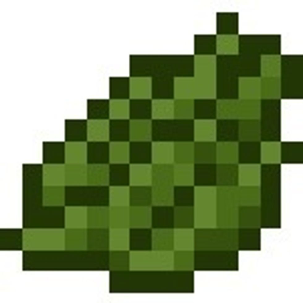 This is Green Dye, crafted by smelting cactus in a furnace. Can also be made into a green wool block.