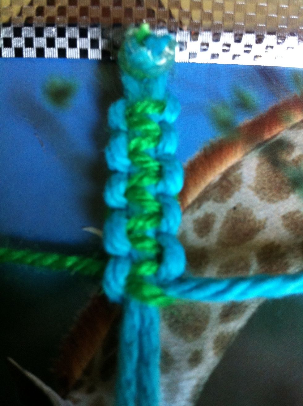 This is how 10 knots look.