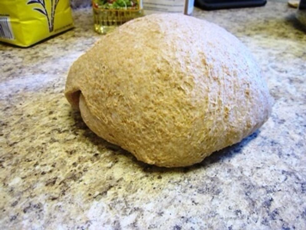 This is how it should look.  Now you need to protect it while it rises.