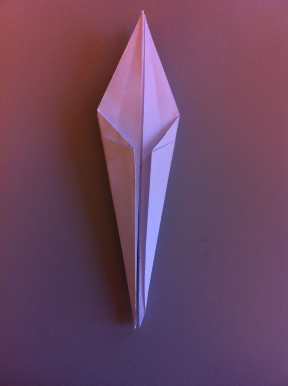 This is how it should look. The fold the sides against each other so that the gap closes and rotate a quarter.