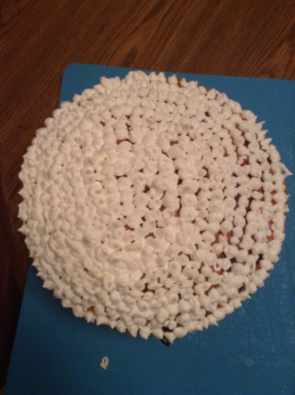 This is how it should look when you finish the top.
