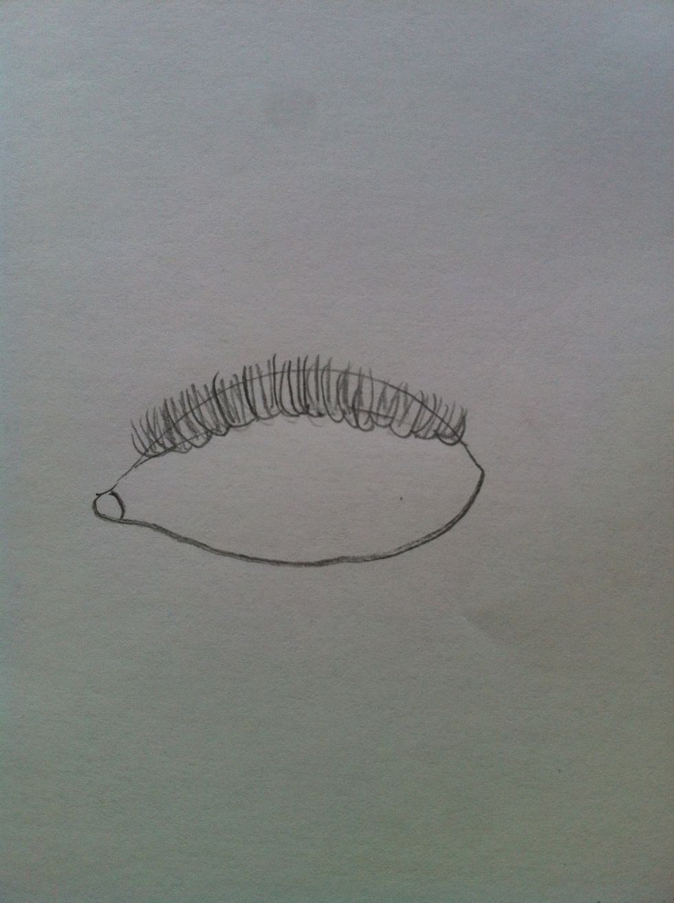 This is how my eyelashes turned out