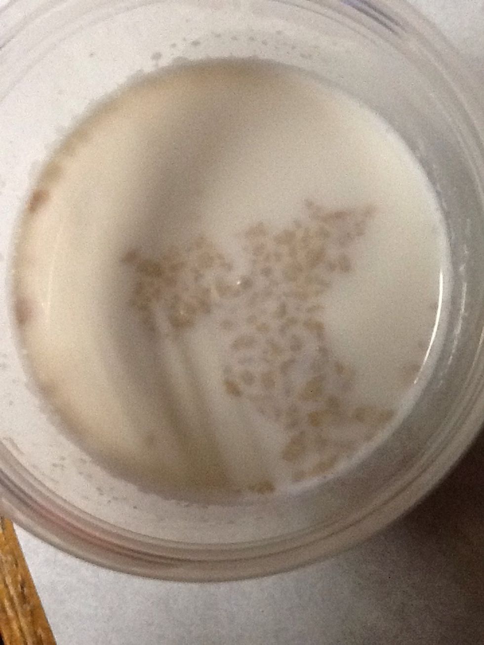 This is how your yeast will look like.