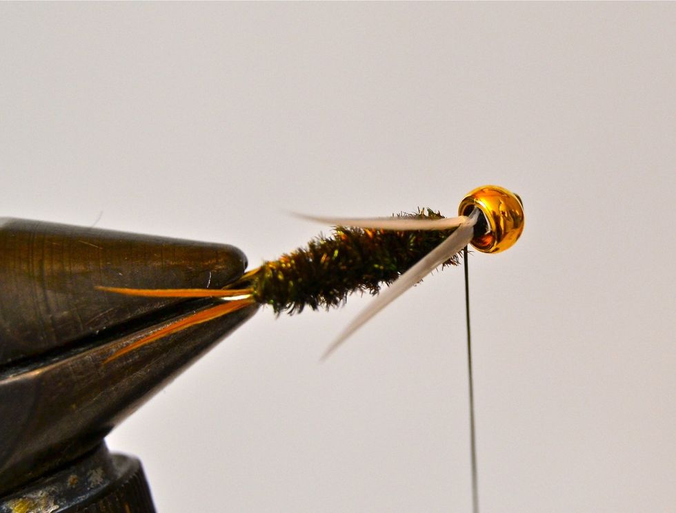 This is just another picture showing what these 'wings' should look like from the top.