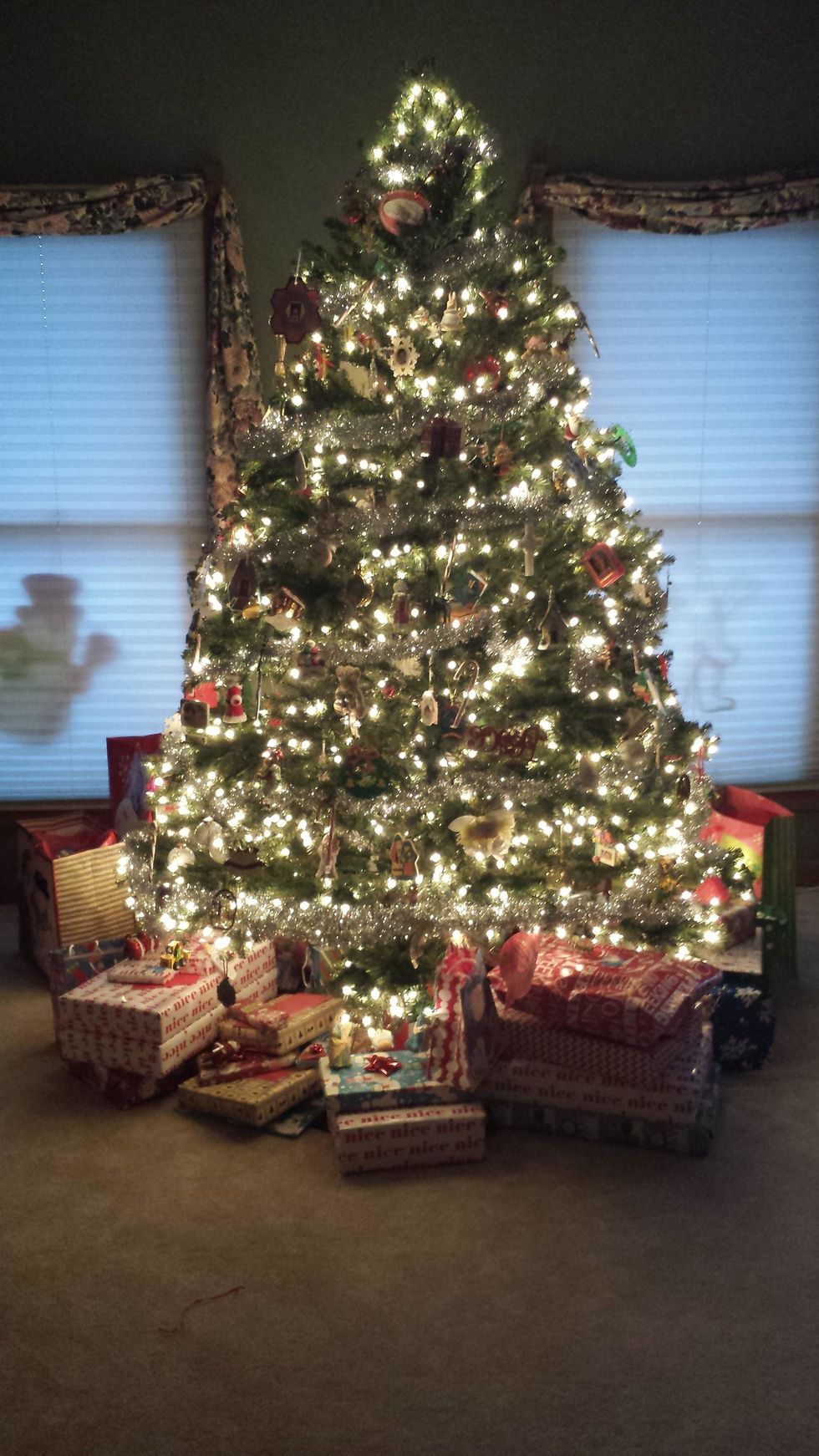 This is my Christmas tree. Each ornament on it represents how far I have come in my life. During the holiday season it reminds me of my successes.