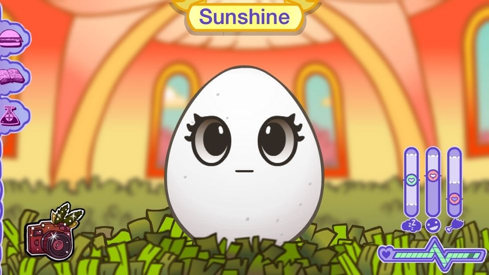 This is my egg sunshine she is one of the best eggs you can get on egg baby! She costs a lot of money and is very hard to take care of