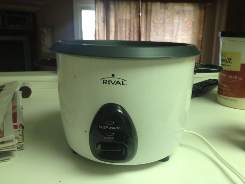 This is my rice cooker, but almost any will work.