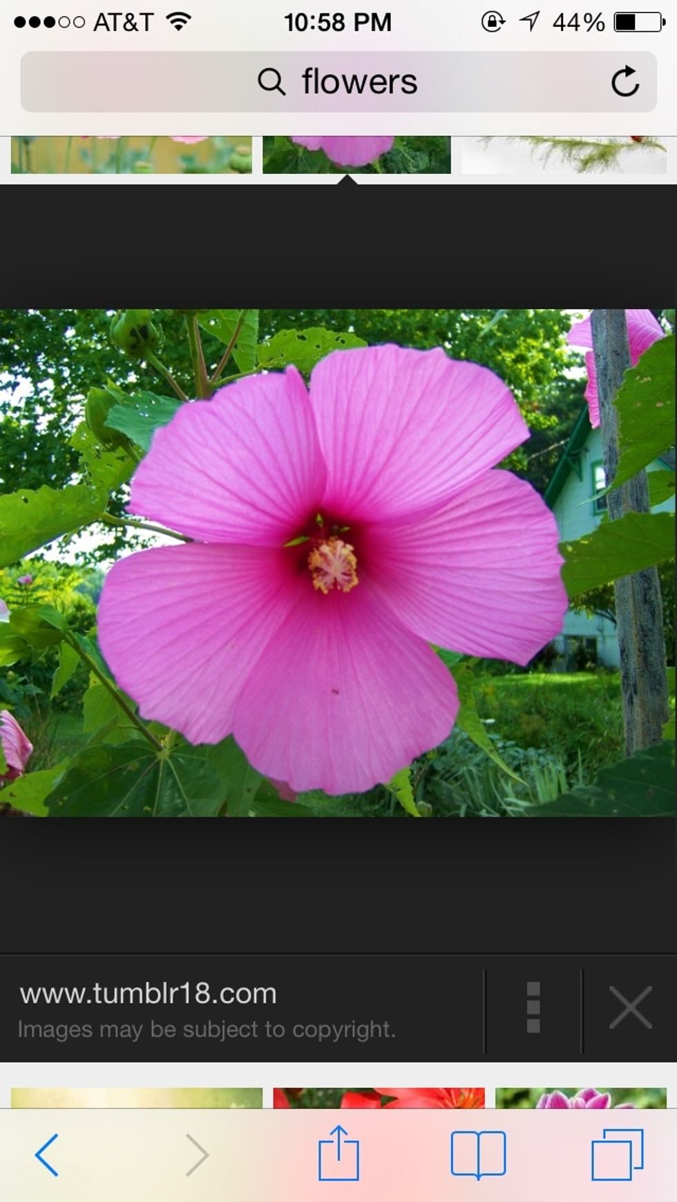 This is my success story now go and find yours :)