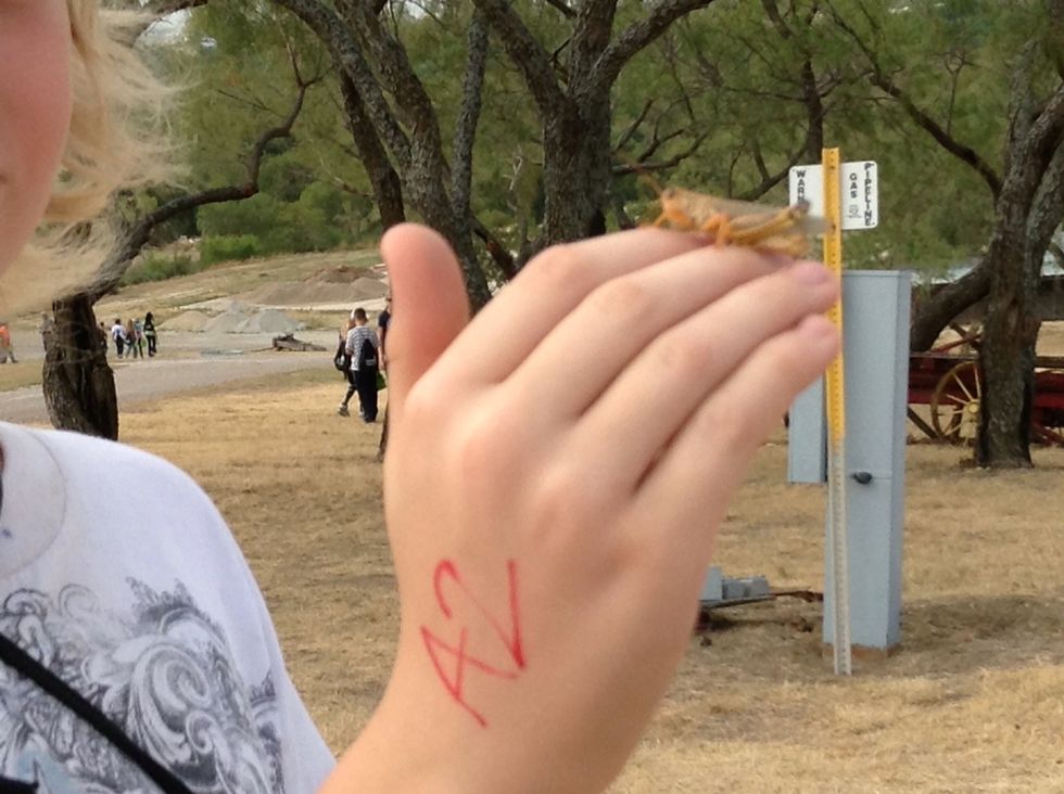 This is nature and we should like it!