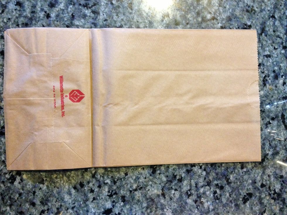 This is our plain brown paper lunch bag