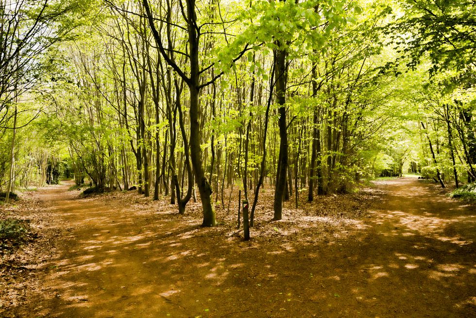 This is our reference photo for this project