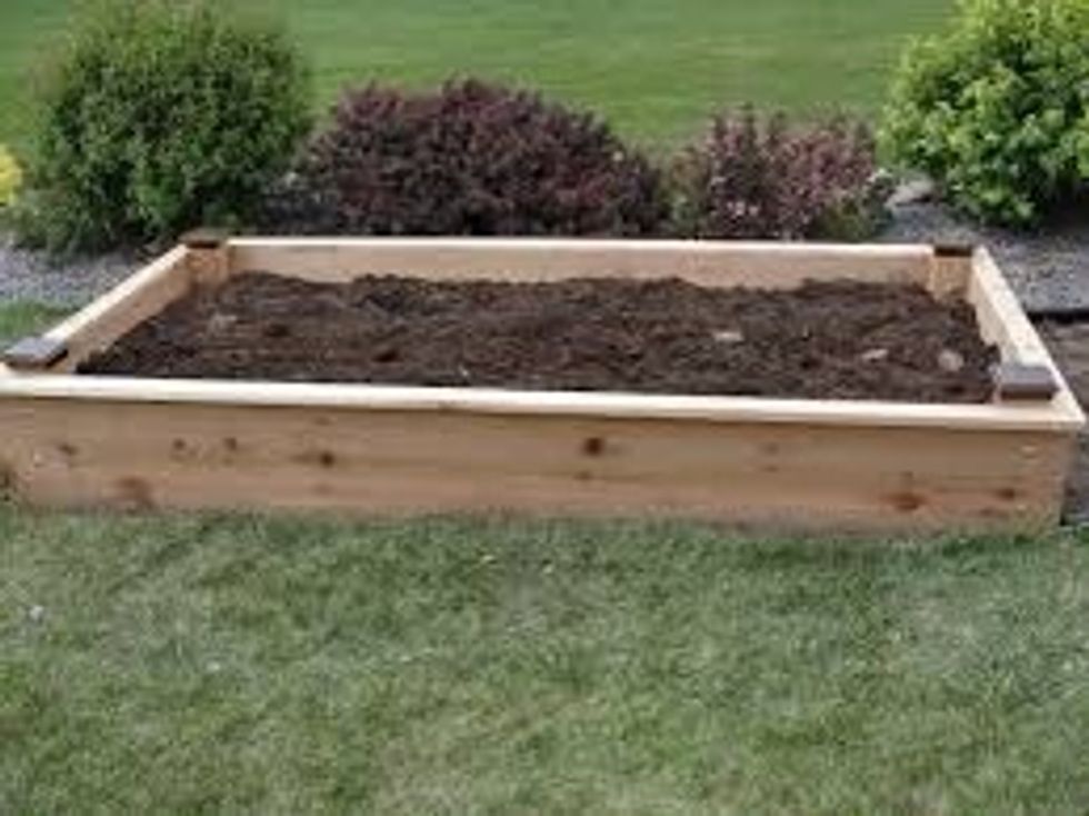 This is something like what your butterfly garden should look like before you add the plants. I doesn't have to look exactly like this but it should probably have something around it like big rocks.