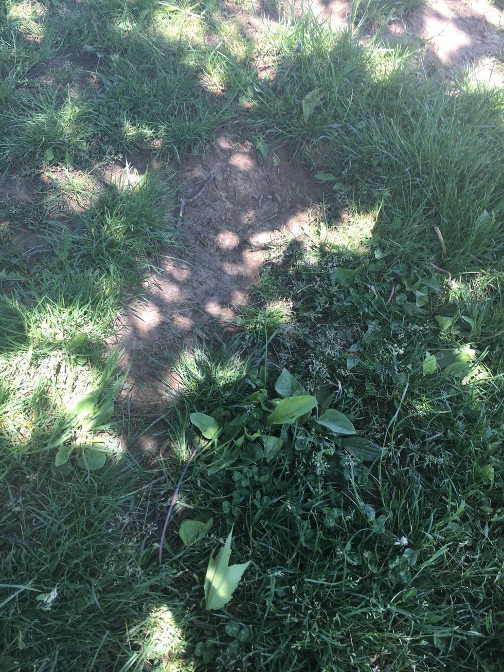 This is splash erosion. This type of erosion is when a single raindrop makes a small crater in dispersing soil. This is caused directly by rainfall.